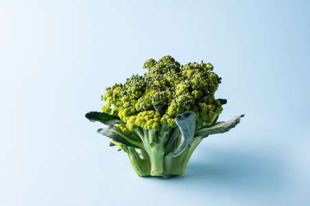 Broccoli on blue background, close up. Healthy food concept. Market vegetable. Place for text. Cabbage on coloured backgroundの写真素材