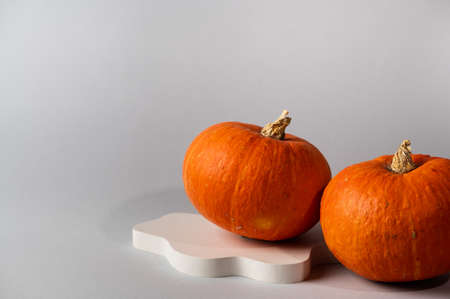 Small orange pumpkin on gray background with copy space. Concept celebration of Halloween or Thanksgiving. Product podium for halloween. Autumn still life,の写真素材