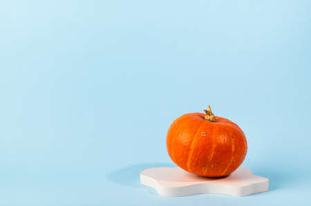Small orange pumpkin on blue background with copy space. Concept celebration of Thanksgiving. Autumn still lifeの写真素材