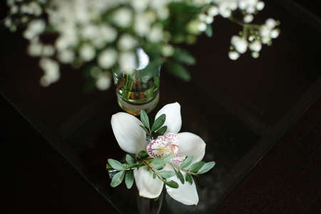 Groom's wedding boutonniere with orchid