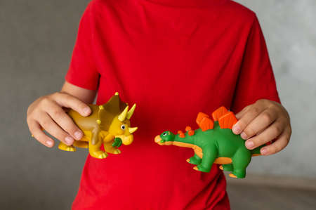There are two dinosaur toys in children's handsの写真素材