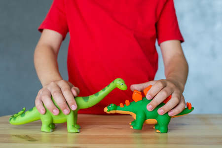 There are two dinosaur toys in children's handsの写真素材
