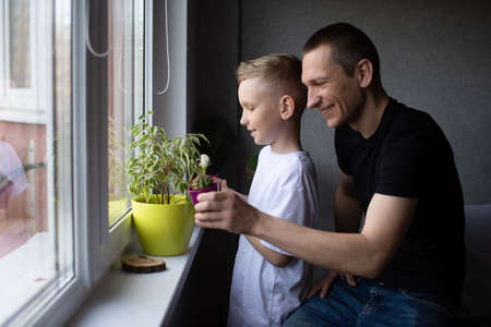 White T-shirt, dad hugs son, blonde, flower pot, watering flowers, house plants, window, window lightの写真素材
