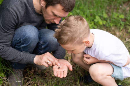 Dad next to his son, sitting next to him, white T-shirt, daddy's son, walking on the street, looking for bugs, biology, beetle in handの写真素材