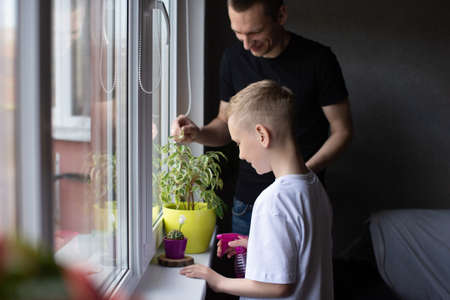 White T-shirt, dad hugs son, blonde, flower pot, watering flowers, house plants, window, window lightの写真素材