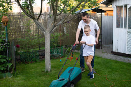 urban farming, gardens, flowers, yard work, backyards, front yards, watering the plants, growing plantsの写真素材