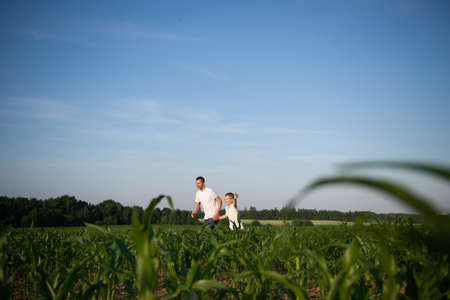 white t-shirt, advertising space, children's clothing, look at dad, launch an airplane, hold hands, walk with dad, stand on the street, cornfield, walk in the field, run with dad, family walk, sunsetの写真素材
