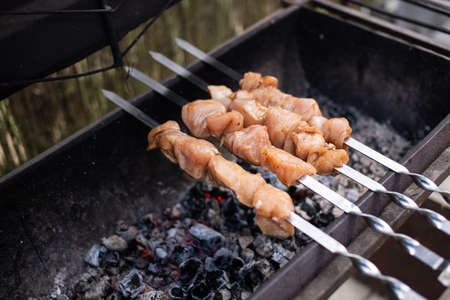 roast meat, food on fire, coals, fire, marinade, natureの写真素材