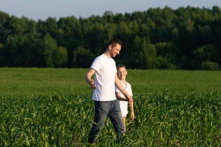 A cute boy walks in a cornfield with his dad and listens to him attentivelyの写真素材