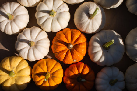 Yellow orange and white pumpkins are lying on a wooden tableの写真素材