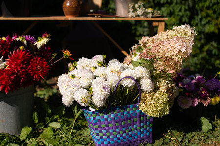 a blue basket with white dahlias and hydrangeas stands on the ground next to red flowersの写真素材
