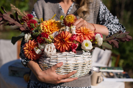 a white basket with seasonal autumn flowers dahlias and asters in her handsの写真素材