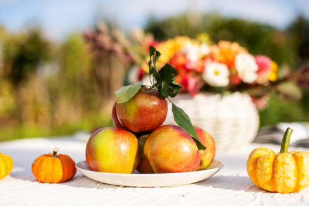 Still life of autumn vegetables and fruits on the street on the tableの写真素材