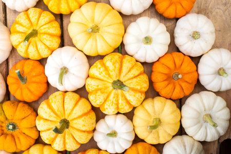 Yellow orange and white pumpkins are lying on a wooden tableの写真素材