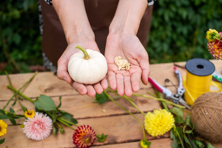 Women's hands hold seeds and small pumpkins near the desktopの写真素材