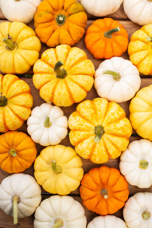 Yellow orange and white pumpkins are lying on a wooden tableの写真素材