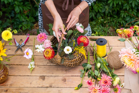 The florist makes a bouquet in a basket of autumn dahlias and astersの写真素材