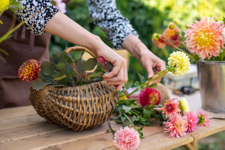 The florist makes a bouquet in a basket of autumn dahlias and astersの写真素材