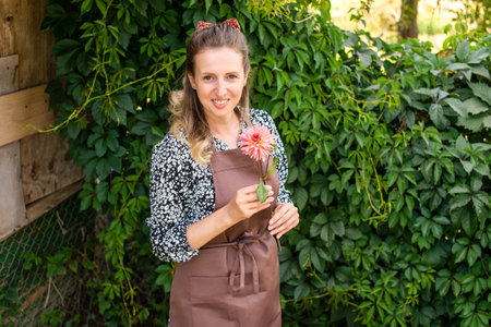 A cute girl in an apron and with a red dahlia flower is standing near a vineyardの写真素材