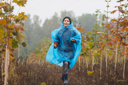 A boy runs in a blue raincoat near small maple trees in autumnの写真素材