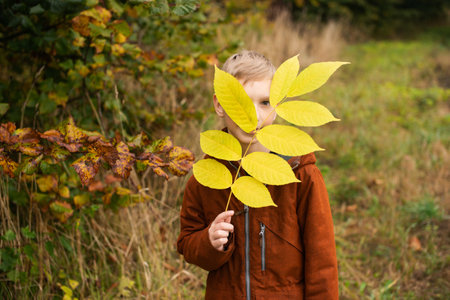 A boy stands on the street and holds a yellow branch with leaves in front of his faceの写真素材