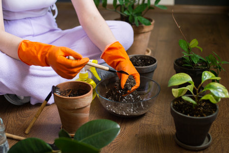 A girl is sitting on the floor and transplanting house plants into flower potsの写真素材