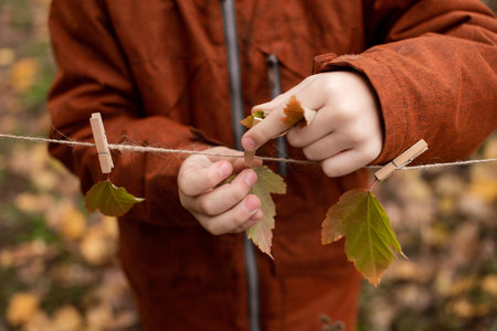 Autumn leaves hanging on wooden Clothespins, Autumn decor for Halloweenの写真素材