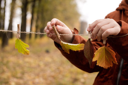 Autumn leaves hanging on wooden Clothespins, Autumn decor for Halloweenの写真素材