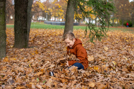 Cute boy sitting in autumn leaves in the park and laughingの写真素材