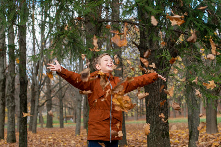 The boy tossed autumn yellow leaves and looks upの写真素材