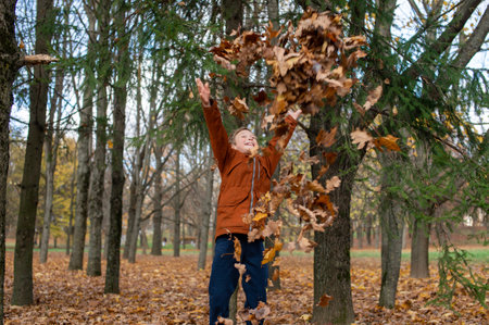 The boy tossed autumn yellow leaves and looks upの写真素材