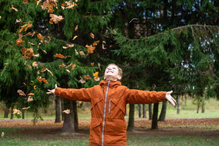 The boy tossed autumn yellow leaves and looks upの写真素材