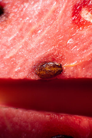 Sliced ripe watermelon with seeds close-upの写真素材
