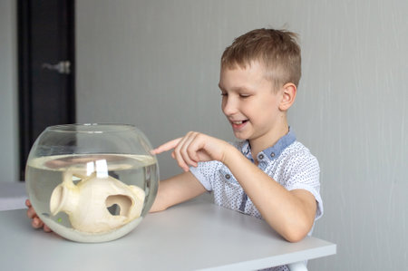 A cute boy is sitting near a transparent aquarium at home and tapping on it with his fingerの写真素材
