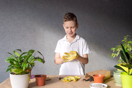 A cute boy takes care of indoor flowers, prepares a tool for the soil, fertilize the soilの写真素材