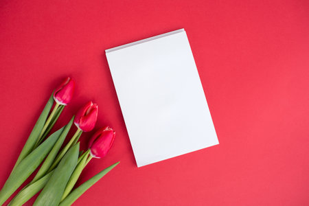 Colorful tulip flowers with notepad on red background. With a space to copy. top view flat
