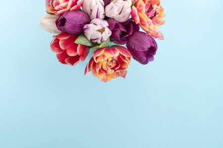 A bouquet of colorful bright tulips of different varieties on a blue background. top viewの写真素材