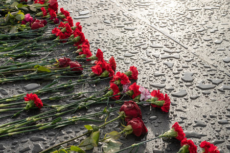 Red carnation flowers and roses are laid on a marble slab in the rain
