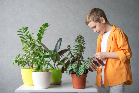 A cute boy in a shirt is studying indoor green plants, caring for flowers. Water pitcher for flowersの写真素材
