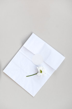 Round blank sticker and packaging model, round tag model on kraft paper gift bag, chamomile flower