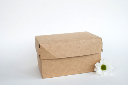 Kraft box mockup, lunchbox, eco friendly packaging with space for text, isolated food box, white...