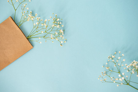 creative flat desktop photo. Blue background with top view with empty space for text, plants, craft package and copy spaceの写真素材