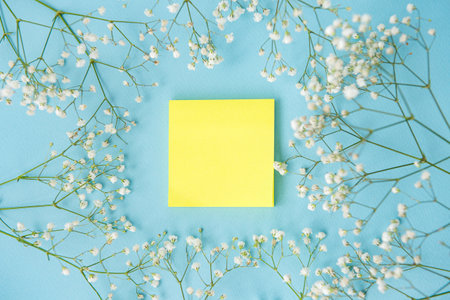 creative flat desktop photo. Blue background with top view with empty space for text, plants, craft package and copy spaceの写真素材