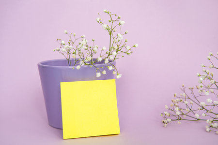 Gypsophila branches in a purple flower pot. Blank notepad mockupの写真素材