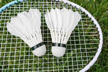 A badminton racket and shuttlecocks are lying on the green grass. outdoor recreation and fresh air. The sun's rays. Lawn for playing badminton.の写真素材