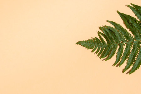 Background for text with colors, copy spaceの写真素材