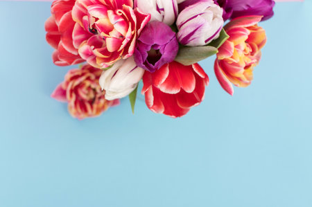 A bouquet of colorful bright tulips of different varieties on a blue background. view from above. Place for textの写真素材