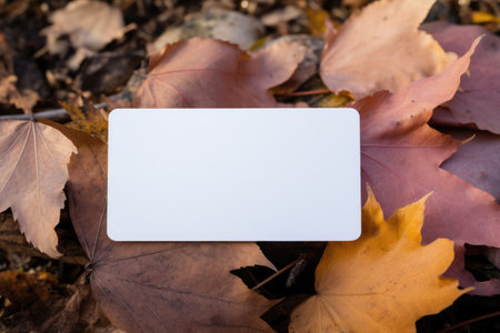 A mock-up of a white tag, a sticker with autumn maple yellow leaves. Mockup for records, a place for textの素材