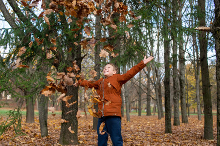 The boy tossed autumn yellow leaves and looks up