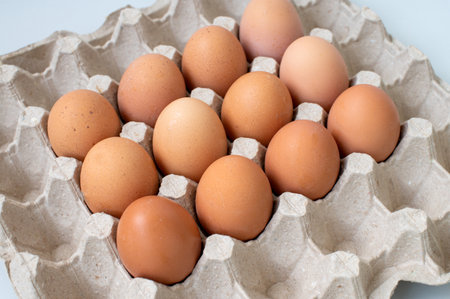 Square pallet for recycling chicken eggs with red chicken eggs. View from above